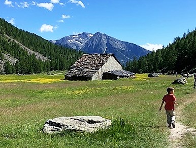 Valley scene