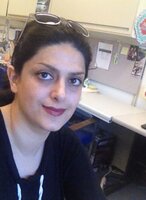 Profile picture for Elham Karimi Balan