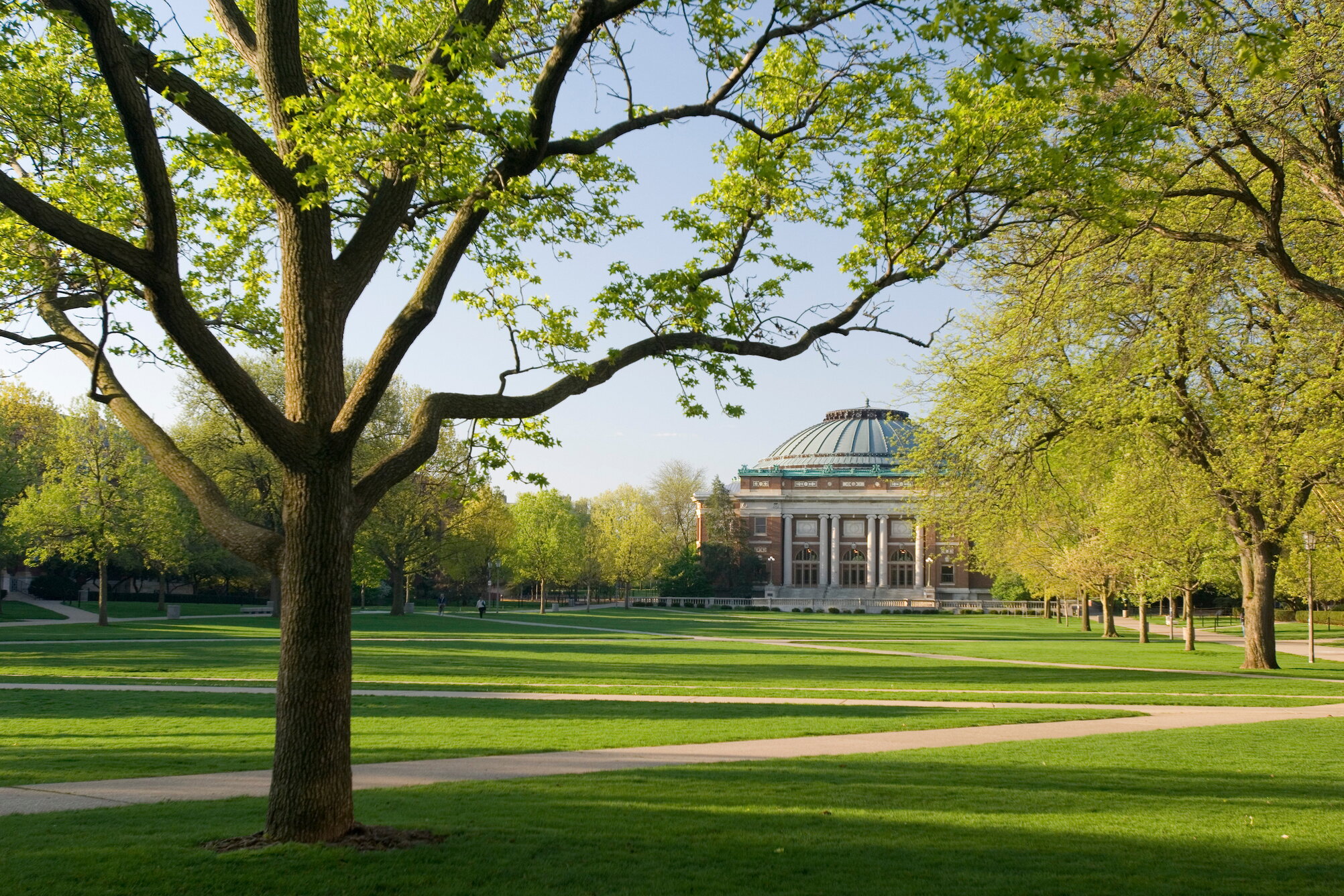 main quad in summertime