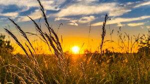summer sunset from Wikimedia images