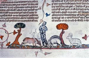 Drawings of animals from a Medieval book